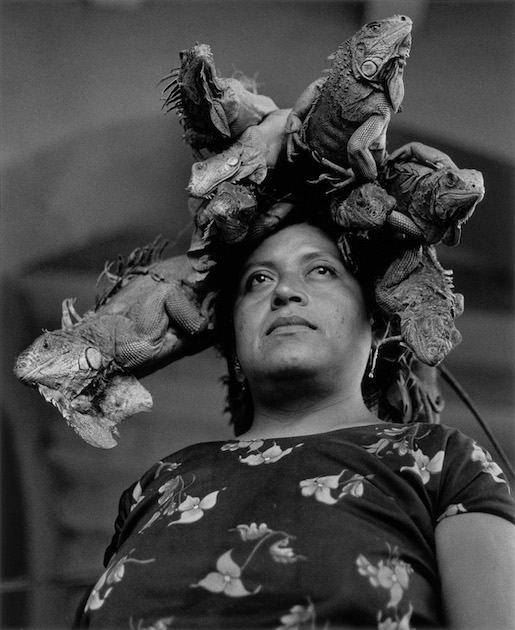Bild: Graciela Iturbide, Nuestra Señora de las Iguanas, Juchitán, Mexico, 1979, aus der Serie Juchitán, 1979–1988 © Graciela Iturbide